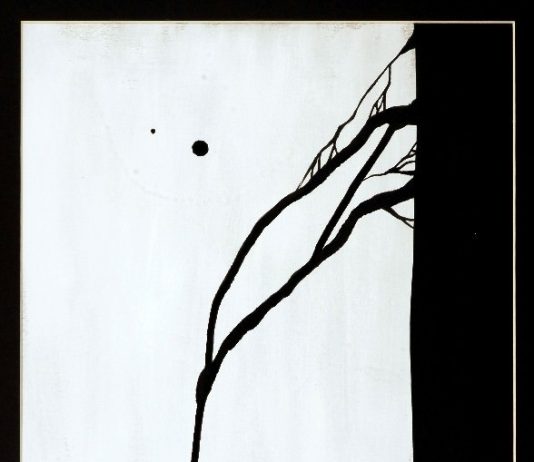 Carlo Cotti – I Dispetti dei Colori Primari Carlo Cotti – I Dispetti dei Colori Primari