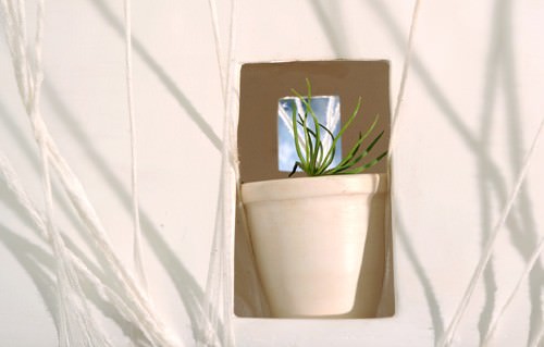 Cinzia Colombo – Naturalmente Pina…