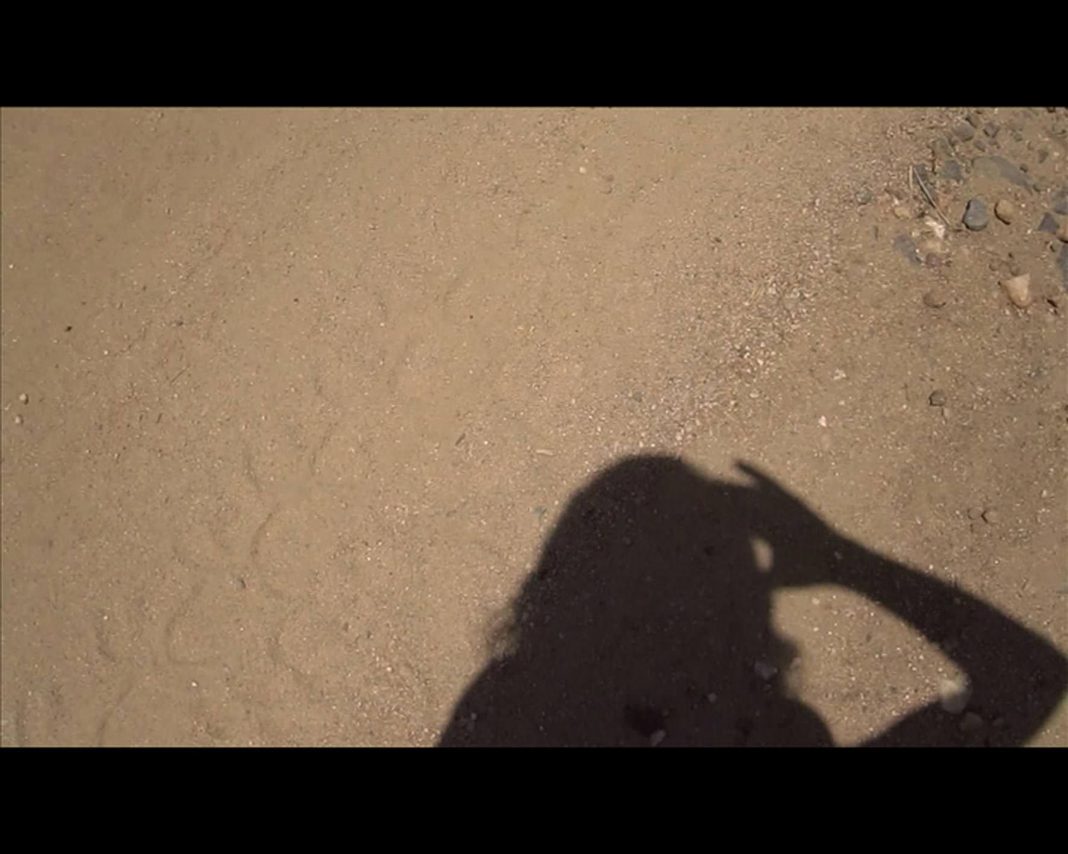 Deborah Ligorio – Poi non così diversohttps://www.exibart.com/repository/media/eventi/2010/05/deborah-ligorio-8211-poi-non-così-diverso-1068x854.jpg