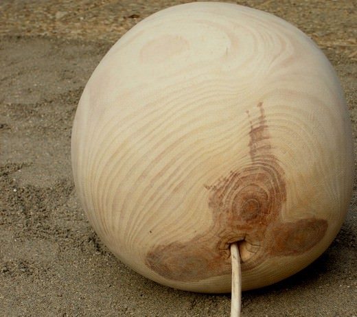 Emanuela Camacci – Scherzi di Natura