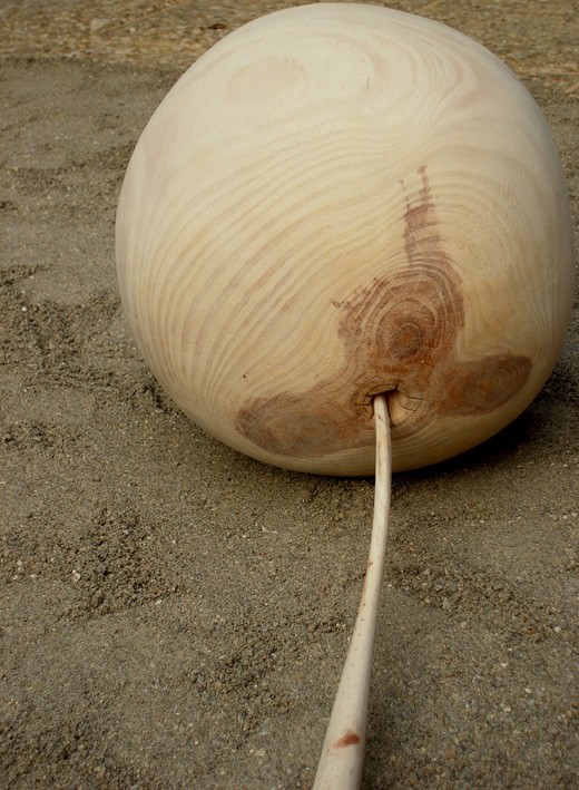 Emanuela Camacci – Scherzi di Naturahttps://www.exibart.com/repository/media/eventi/2010/05/emanuela-camacci-8211-scherzi-di-natura.jpg