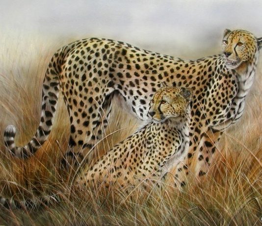 Gianluigi Alberio – Il respiro dell’Africa