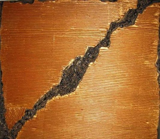 Gloria Tranchida / Simona Vitello – C’Arte