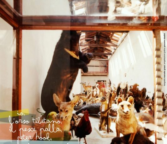 Italo Rota – L’amore ci dividerà. Prove generali di un Museo