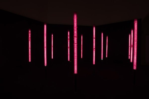 Knitted Microcosm in Pinkhttps://www.exibart.com/repository/media/eventi/2010/05/knitted-microcosm-in-pink.jpg