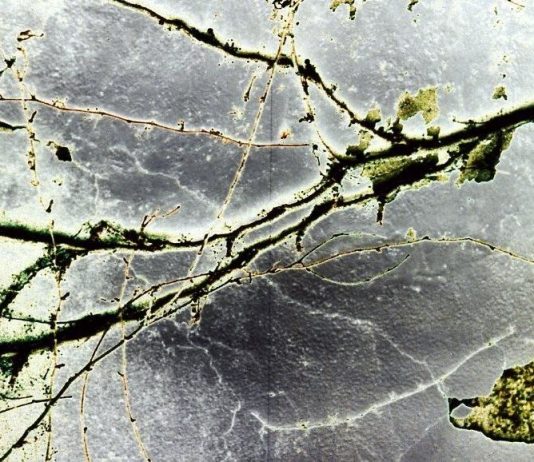 Ludovica De Luca – Intransitivo Ludovica De Luca – Intransitivo