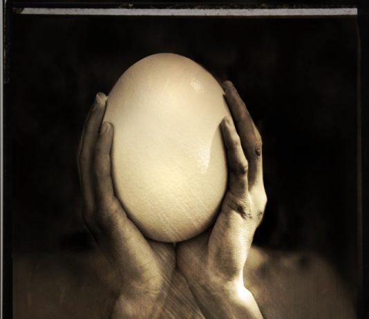 Nicoletta Lupi – Sulla Natura delle Cose Nicoletta Lupi – Sulla Natura delle Cose