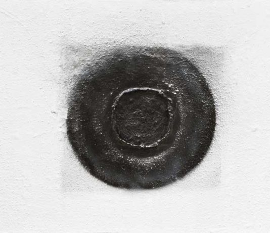 Paola Romano – Monos. Le pieghe dell’anima