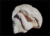 Sabine Pleyel – Umano e Divino  (Von Menschen und Göttern)