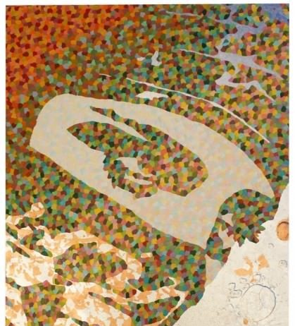 Sara Roncolini – Colore