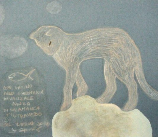 Silvia Lepore / Fulvia Spizzo