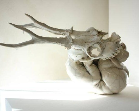 Caterina Silenzi – Buta no Atama Raku