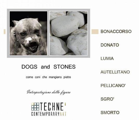 Dogs and stones