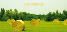 Elisa Vladilo – Summertime