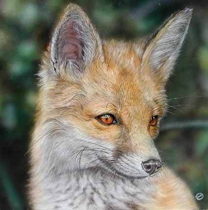Gianluigi Alberio – Animal sound