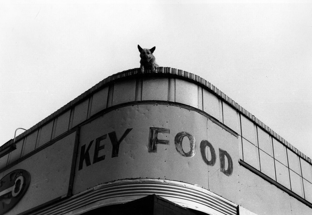 Jacob Burckhardt – New York un altro sguardohttps://www.exibart.com/repository/media/eventi/2010/06/jacob-burckhardt-8211-new-york-un-altro-sguardo.jpg