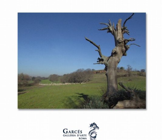 Luca Battaglia – Appia antica. Nature e presenze