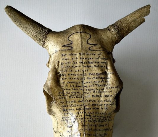 R.V. Robin Van Arsdol – The prophecies