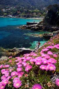 Roberto Ridi – Elba Colours Live Here Roberto Ridi – Elba Colours Live Here