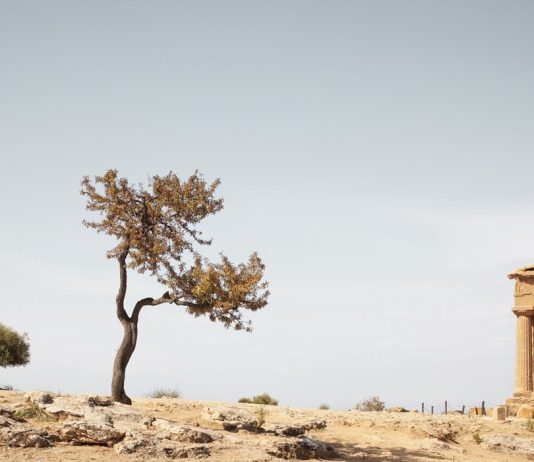 Ca’. Ca’ Foscari San Giobbe 2010