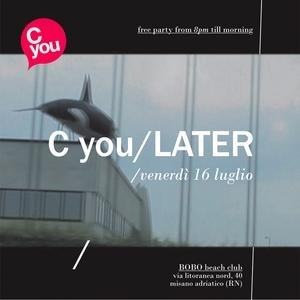 Cyou/later – Subacquea