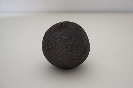 Giovanni Oberti Giovanni Oberti