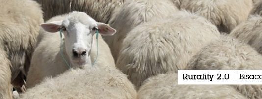 Interferenze 2010 – New Arts Festival Rurality 2.0