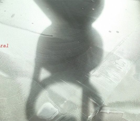 Luca Santiago Mora / Teka Studio – Architectural In-Scapes