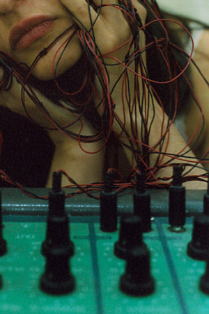 Rossella Traversa – A temporary blood