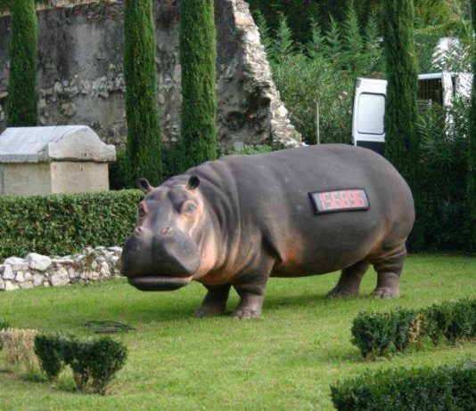 The Faunal Countdown – Anteprima The Faunal Countdown – Anteprima