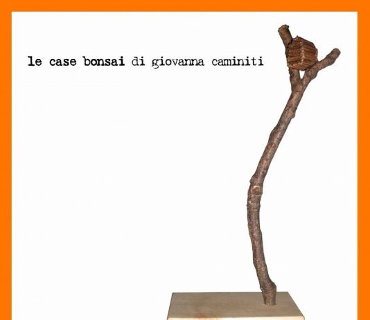Giovanna Caminiti – Le case bonsai