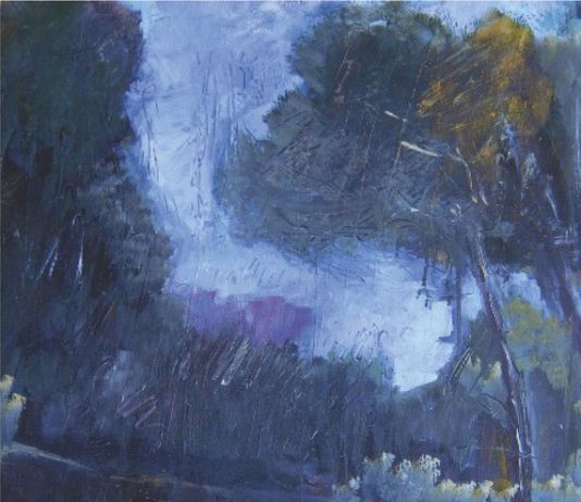 Silvana Franco – Naturalmente