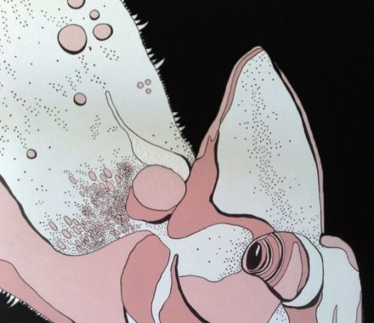 Sonia Strukul – Mutanti