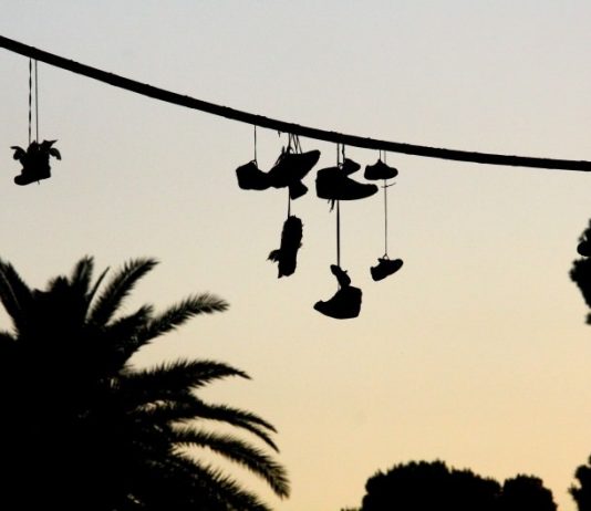 Stefano Fabbi – Se/oGNI