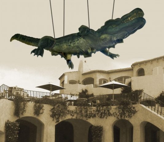 The Faunal Countdown. Prima rassegna urbana di di arte invadente The Faunal Countdown. Prima rassegna urbana di di arte invadente