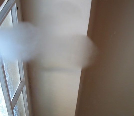 Ambra Pittoni – Dance is not forever