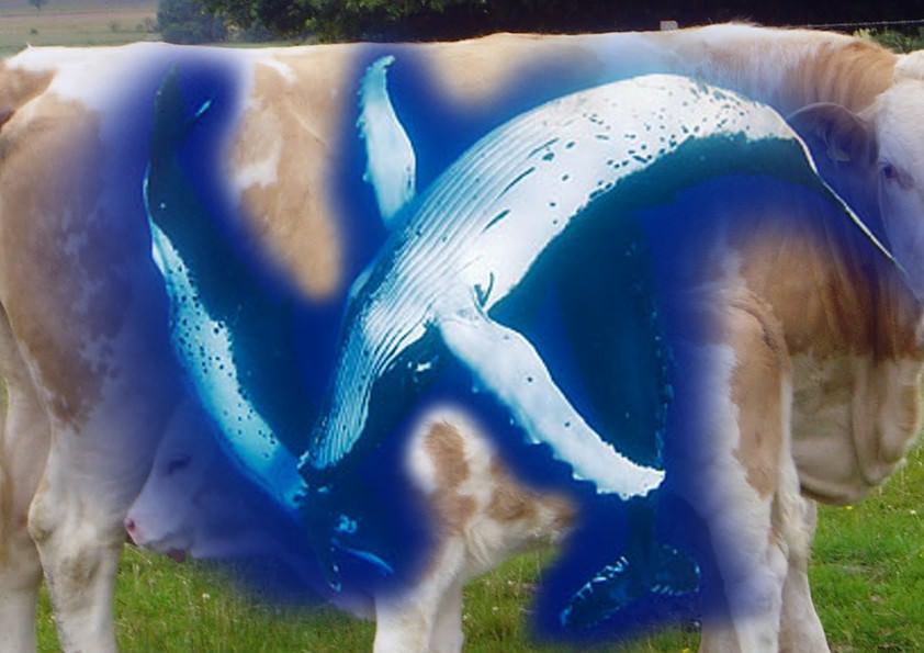 Armless Monkeys suck Bananas from the Bananoshttps://www.exibart.com/repository/media/eventi/2010/09/armless-monkeys-suck-bananas-from-the-bananos.jpg