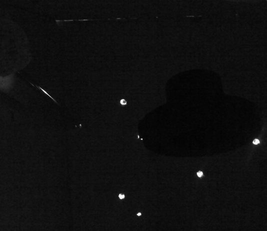 Cristiana Palandri – Near Earth