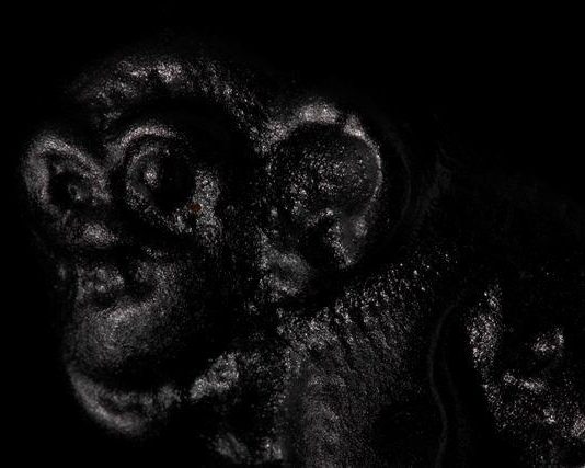 Federica Aghadian – Commestibili. Fragili antropomorfi e bestiemore