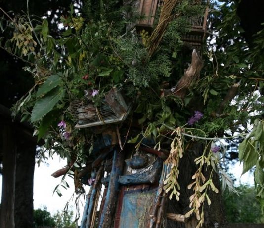 Giovanni Spiniello – L’Albero Metamorfo