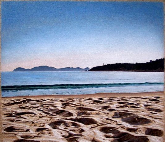 Julio Ojea – Playas