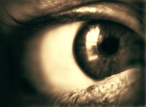 Laura Albano – Grado Zero