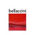 Luca Bellaccini – Percezioni Materiche