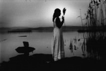 Martino Nicoletti – Submerged Landscapes: visioni stenopeiche