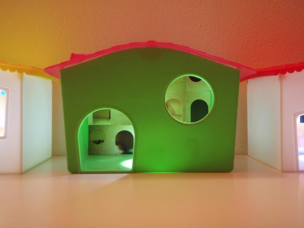 Massimo Premuda – Pets Housinghttps://www.exibart.com/repository/media/eventi/2010/09/massimo-premuda-8211-pets-housing.jpg