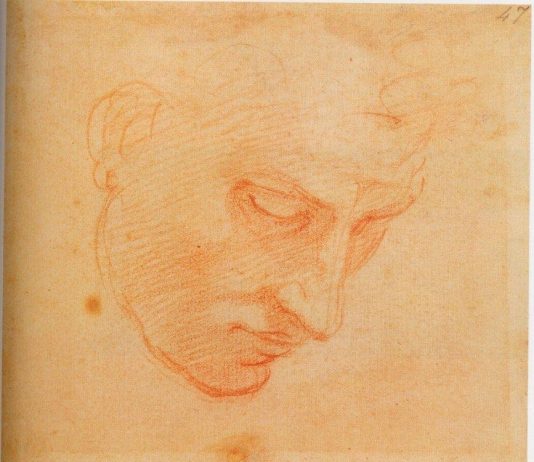 Michelangelo Buonarroti – Vita di Michelangelo