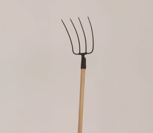 Roberto Amoroso / Giuseppe Teofilo