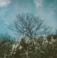 Season #1 – Christian Tripodina