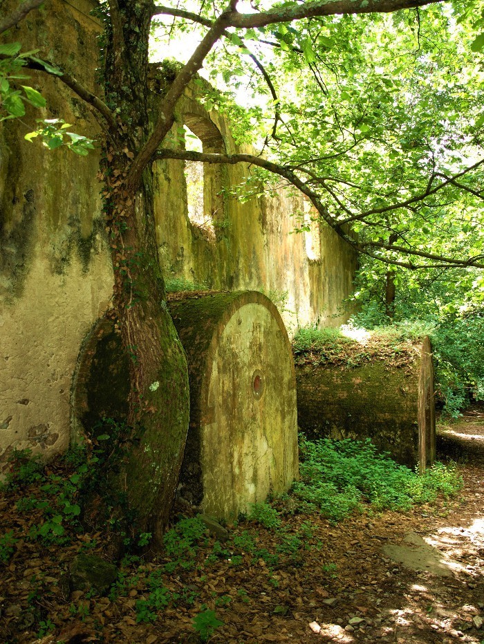 Bruno Pollacci – Curiosando Nel Bellohttps://www.exibart.com/repository/media/eventi/2010/10/bruno-pollacci-8211-curiosando-nel-bello.jpg