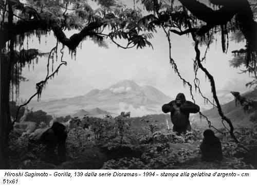 Forme e modelli. La fotografia come forma di conoscenza
